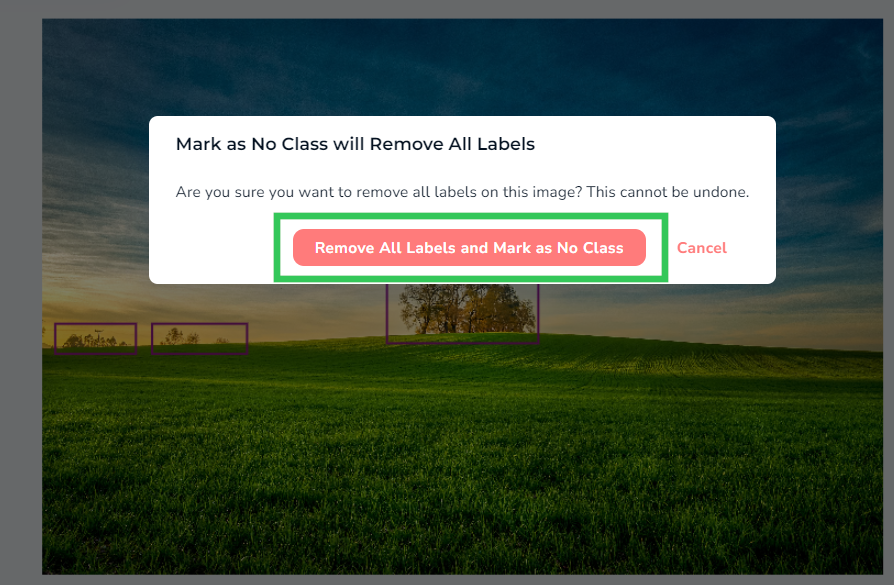 Remove All Labels and Mark as No Class