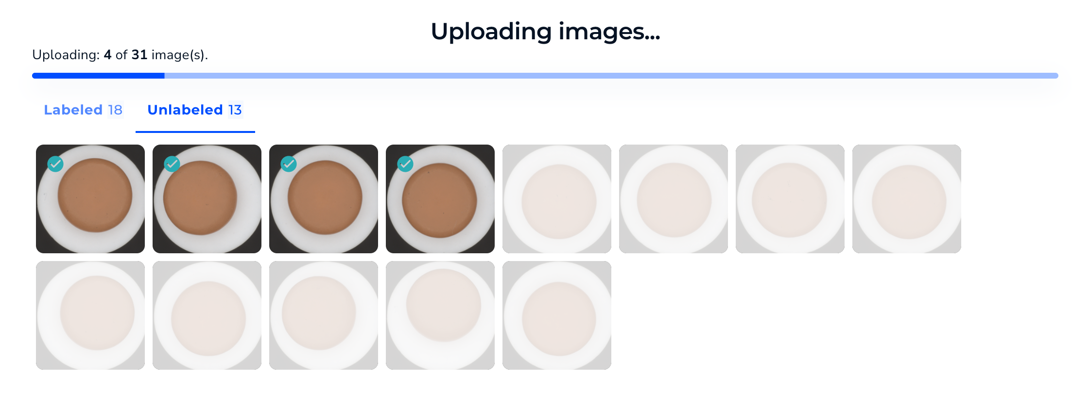 UploadSeg_labeled_5