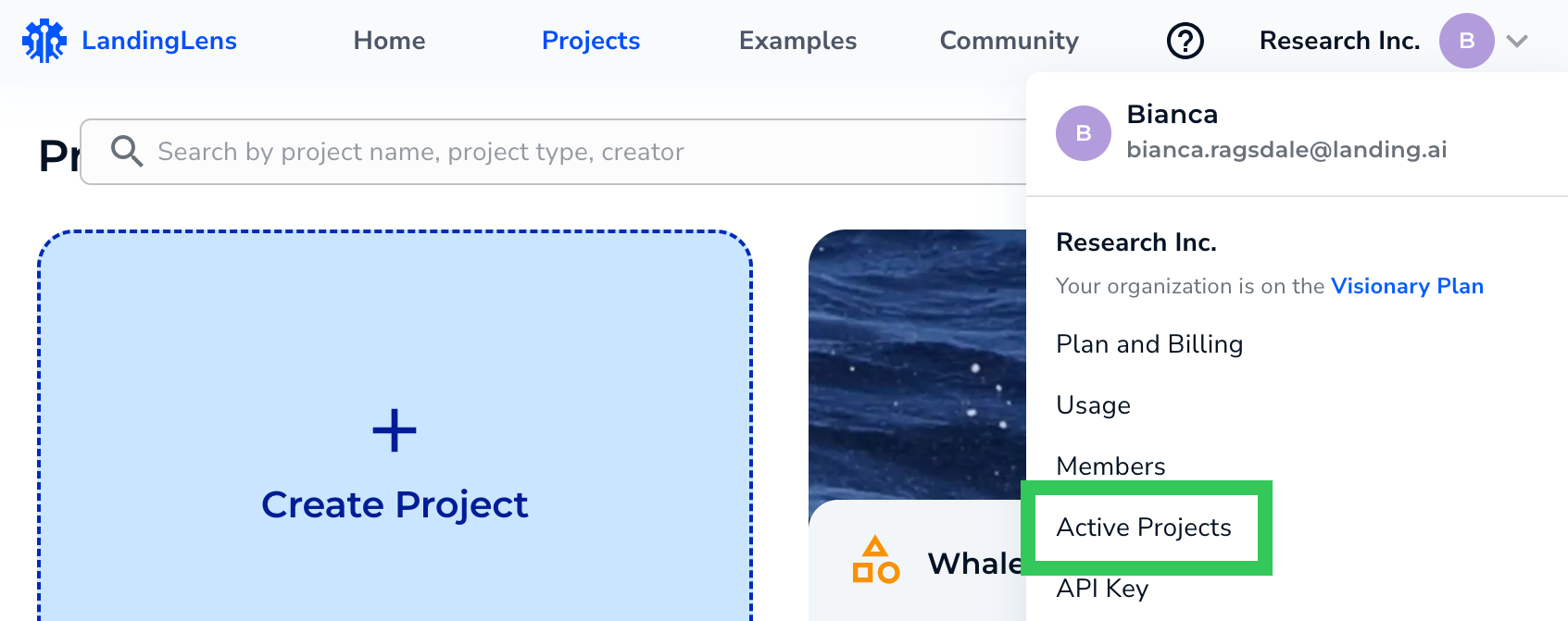 Activate Projects - LandingAI