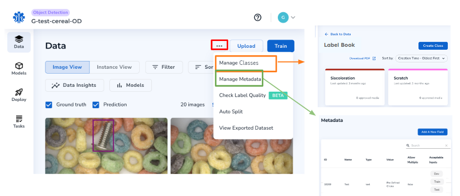 Manage Classes or Metadata