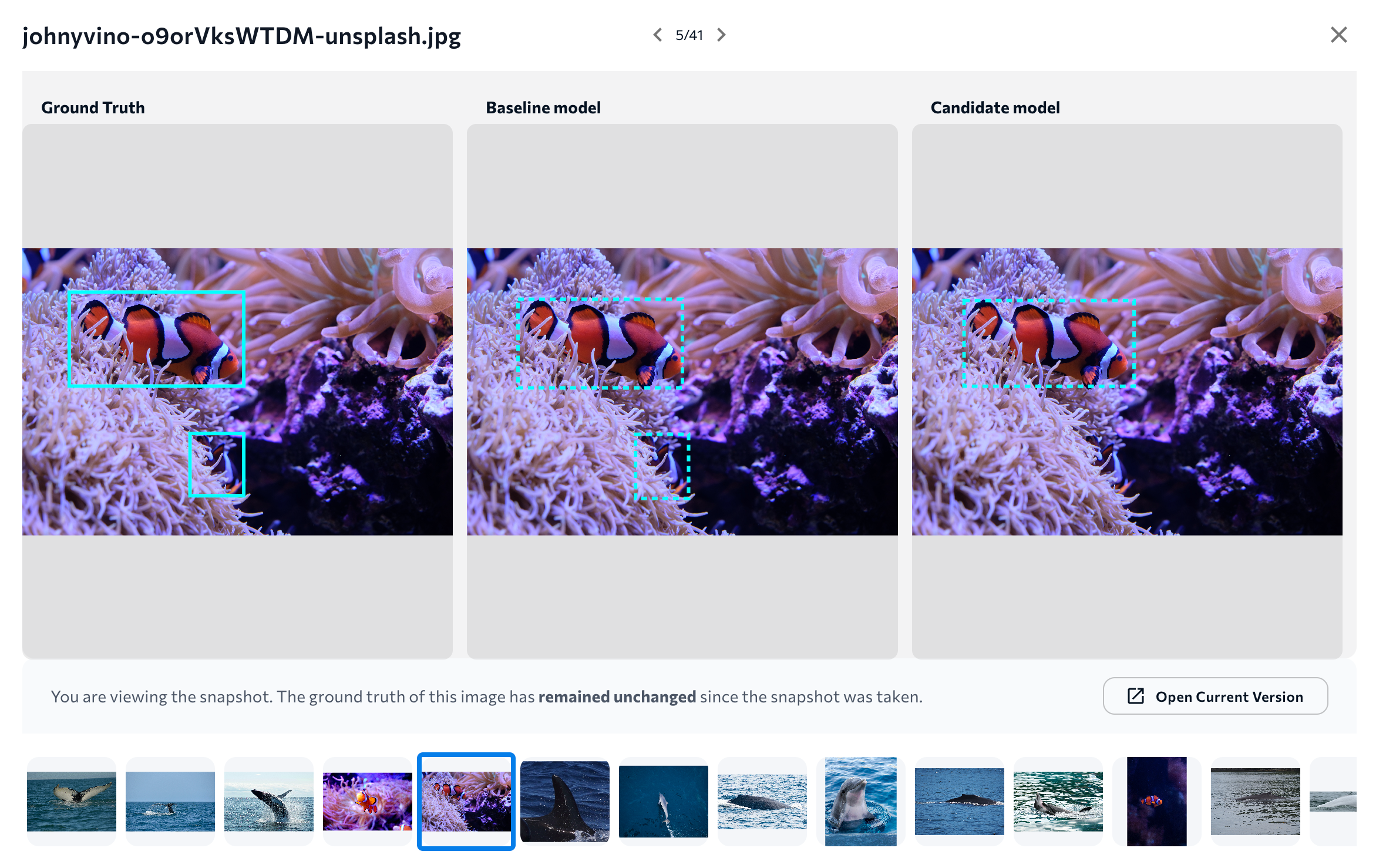 compareModels_AllImages_2