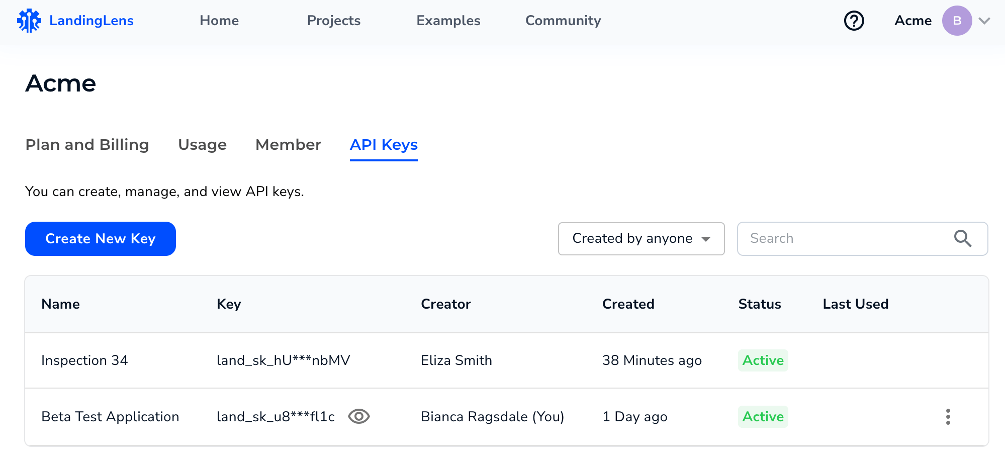 API Keys - LandingAI