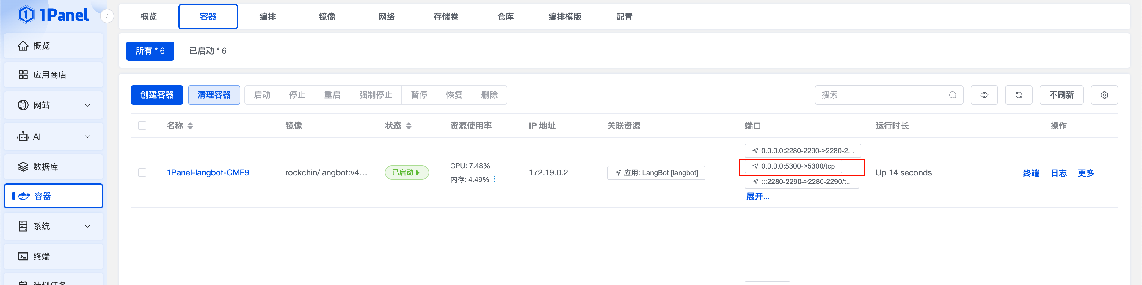View LangBot Container Information