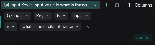 LangSmith filter showing input key-value search for 'input' key with value 'What is the capital of France?'