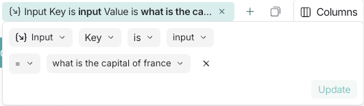 LangSmith filter showing input key-value search for 'input' key with value 'What is the capital of France?'