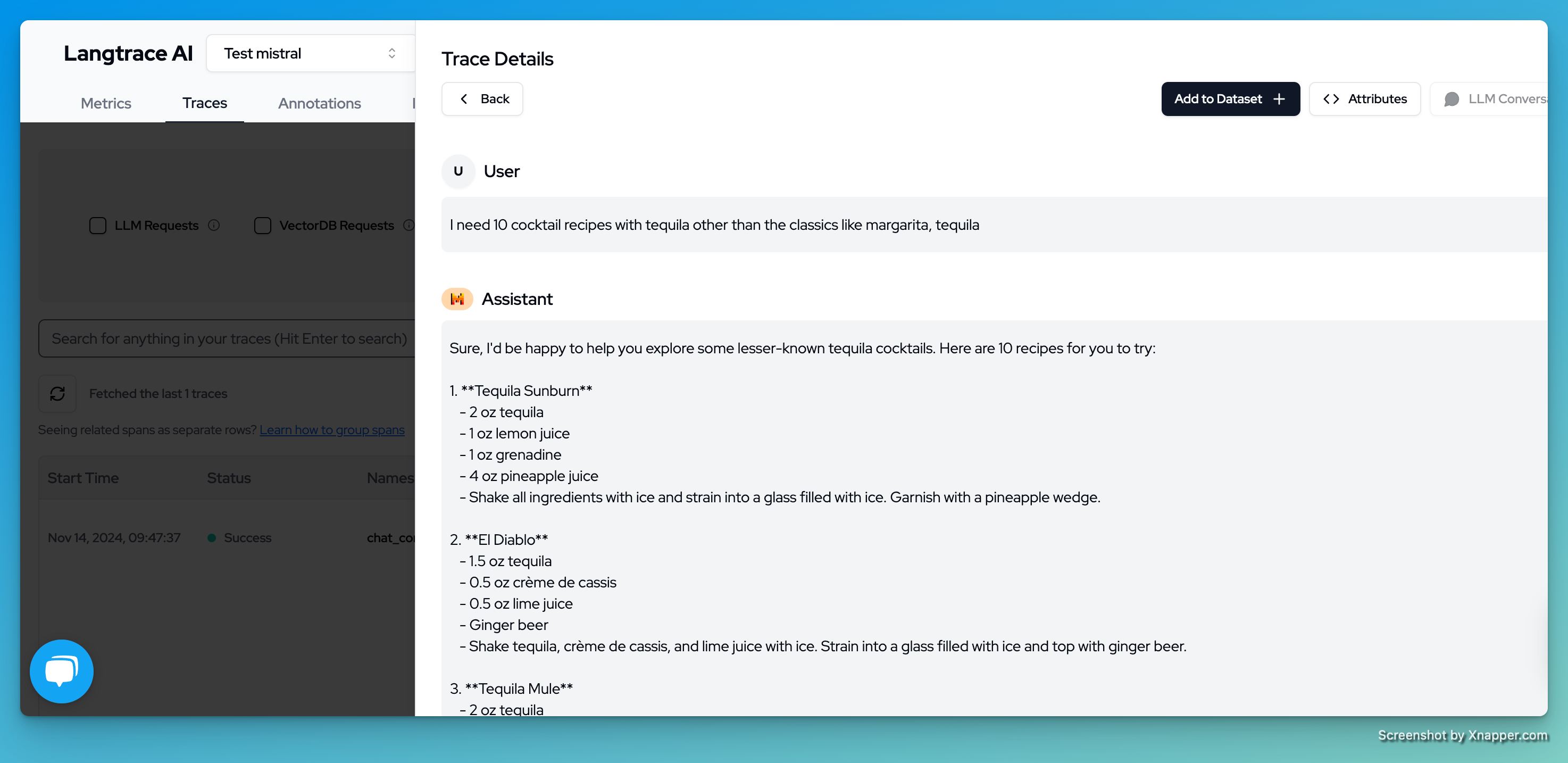 Mistral AI Conversation Details