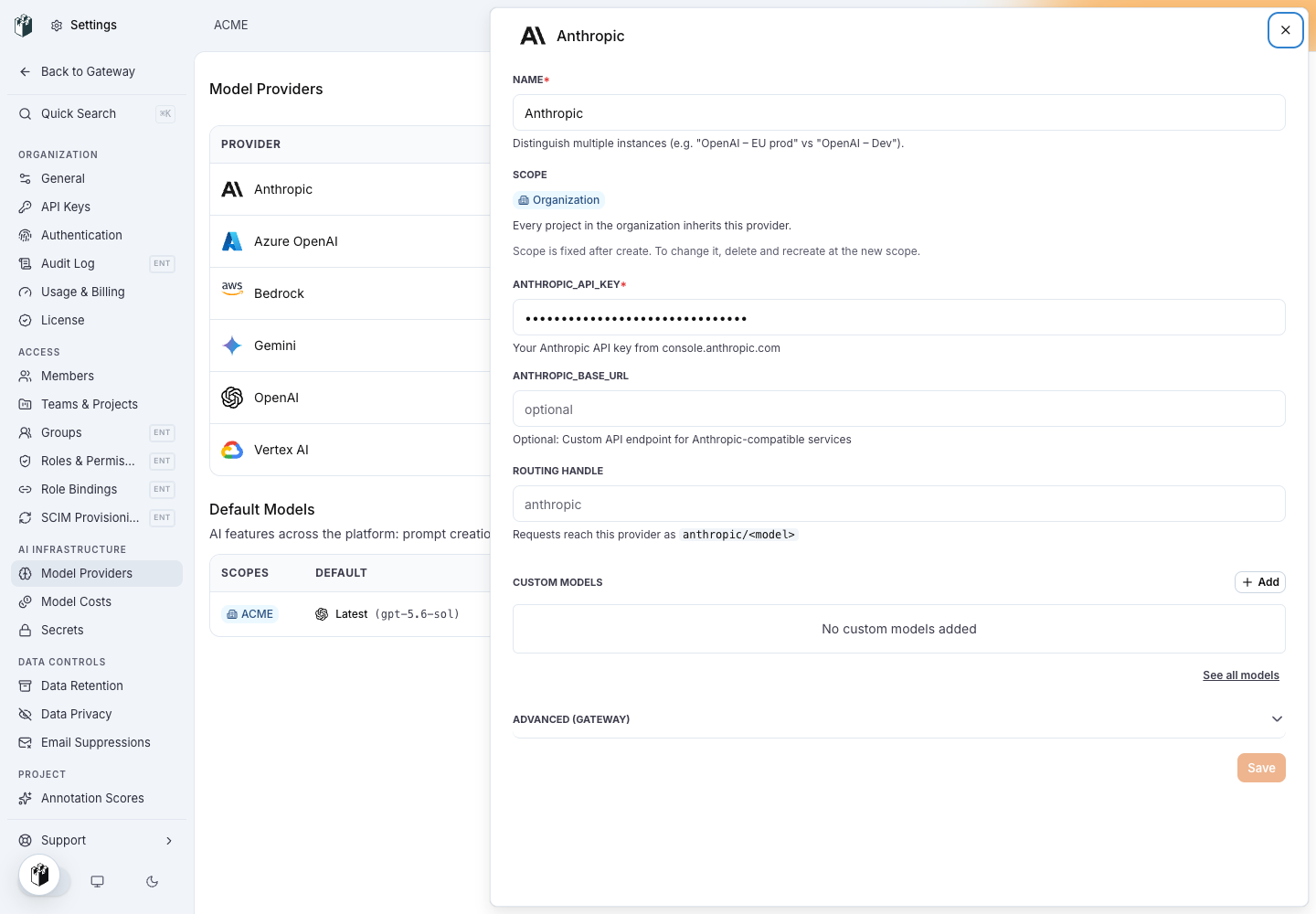 The Anthropic model provider drawer with ANTHROPIC_API_KEY filled in, ANTHROPIC_BASE_URL empty and the routing handle anthropic