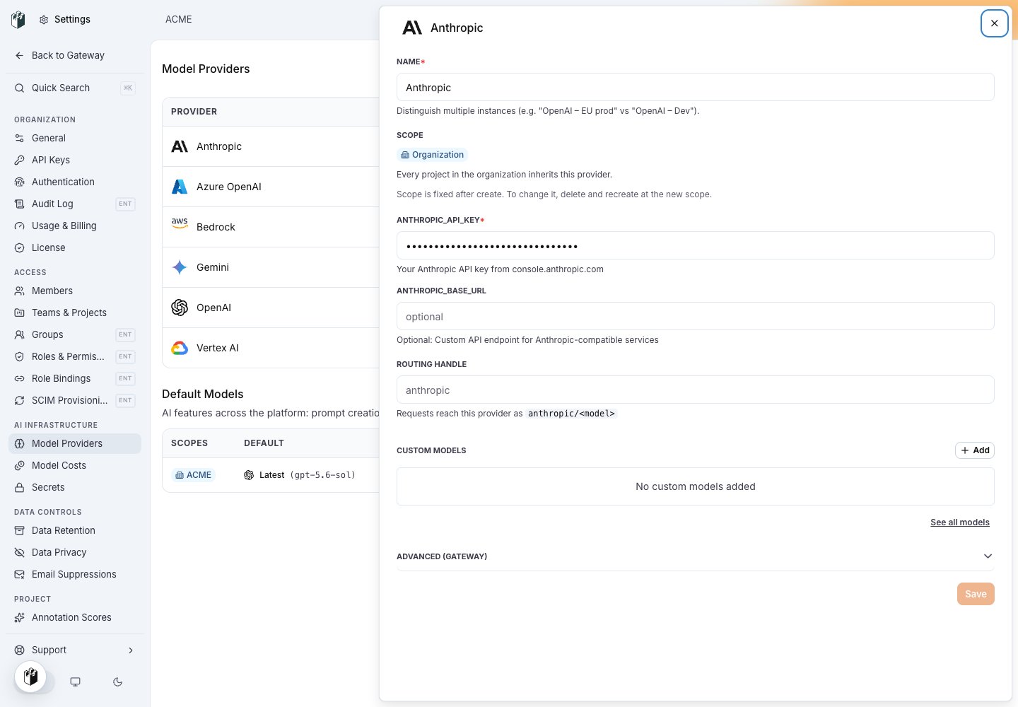 The Anthropic model provider drawer with ANTHROPIC_API_KEY filled in, ANTHROPIC_BASE_URL empty and the routing handle anthropic