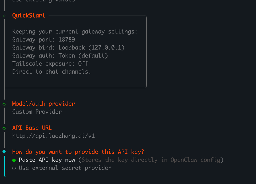 OpenClaw选择粘贴API Key的方式