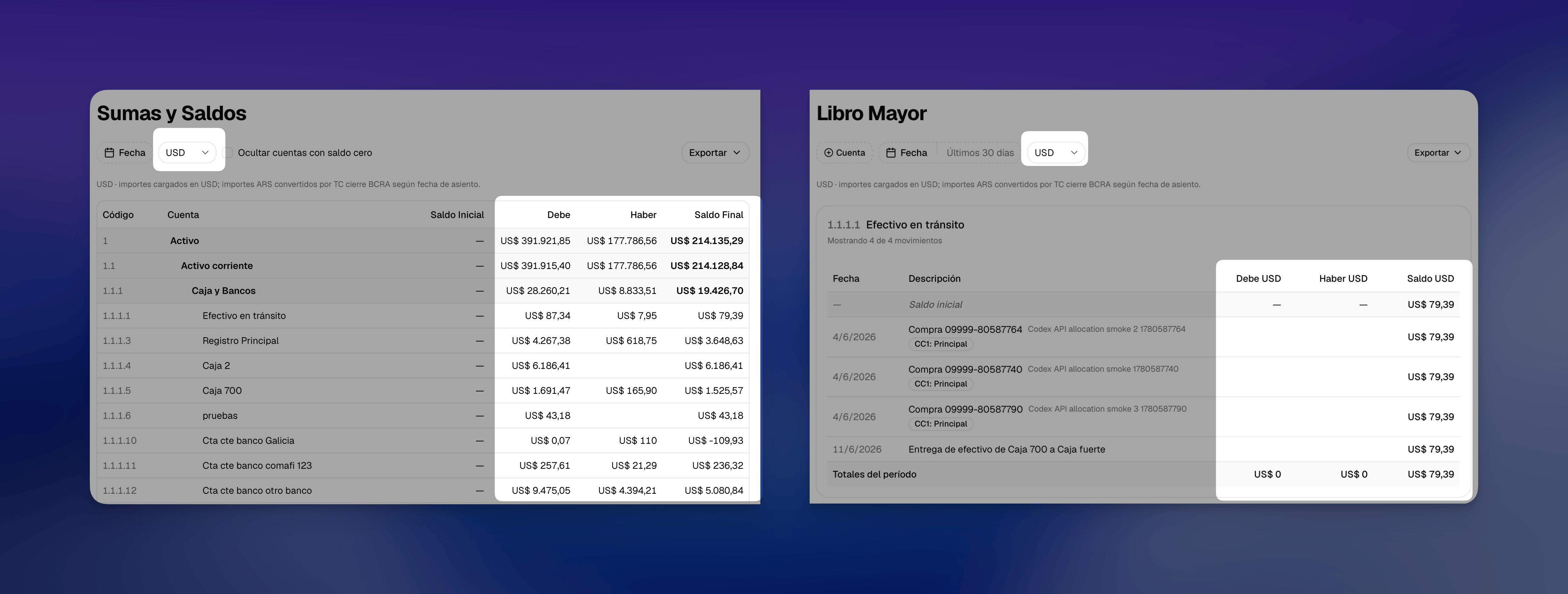 Balance de sumas y saldos en USD dentro de los reportes contables de La Pyme