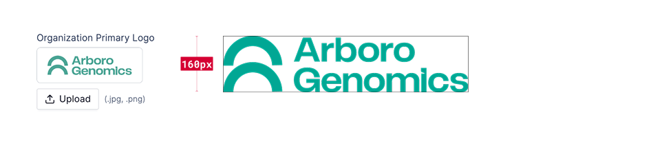 Primary logo example