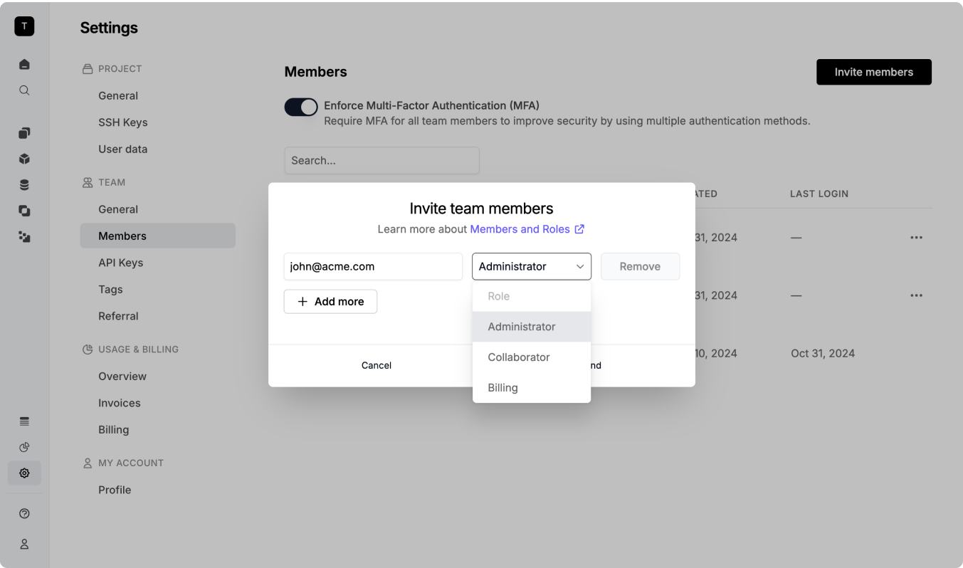 Team member invitation form showing email field, role dropdown selection, and Send button