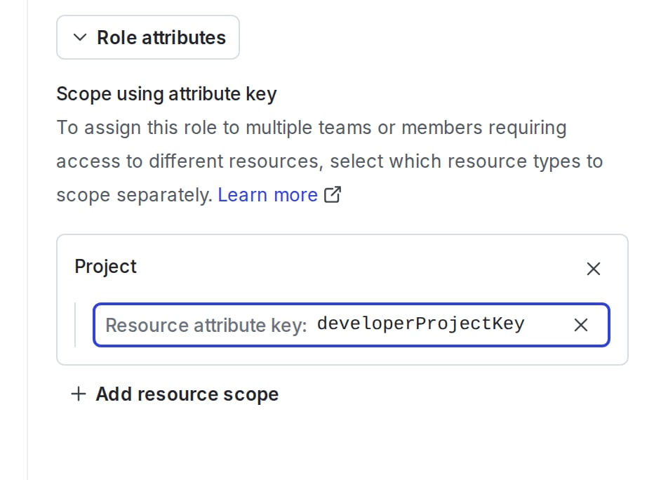 The "developerProjectKeys" defined as a role attribute.