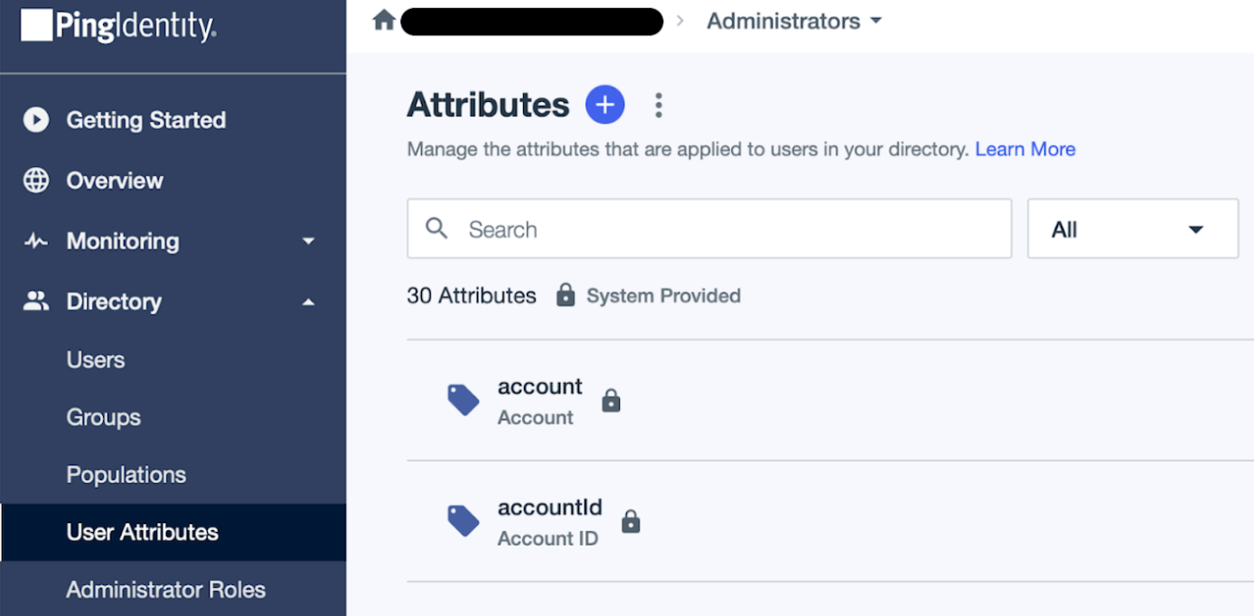 The "User Attributes" screen in PingIdentity.