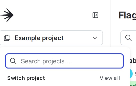 The project menu.