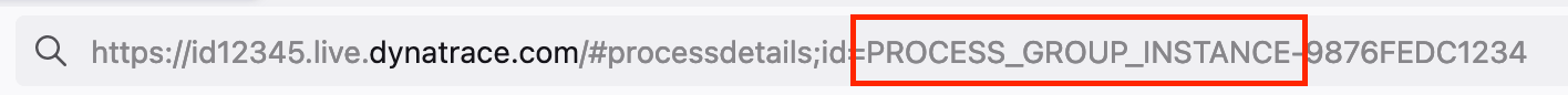 A Dynatrace URL with the entity type called out.
