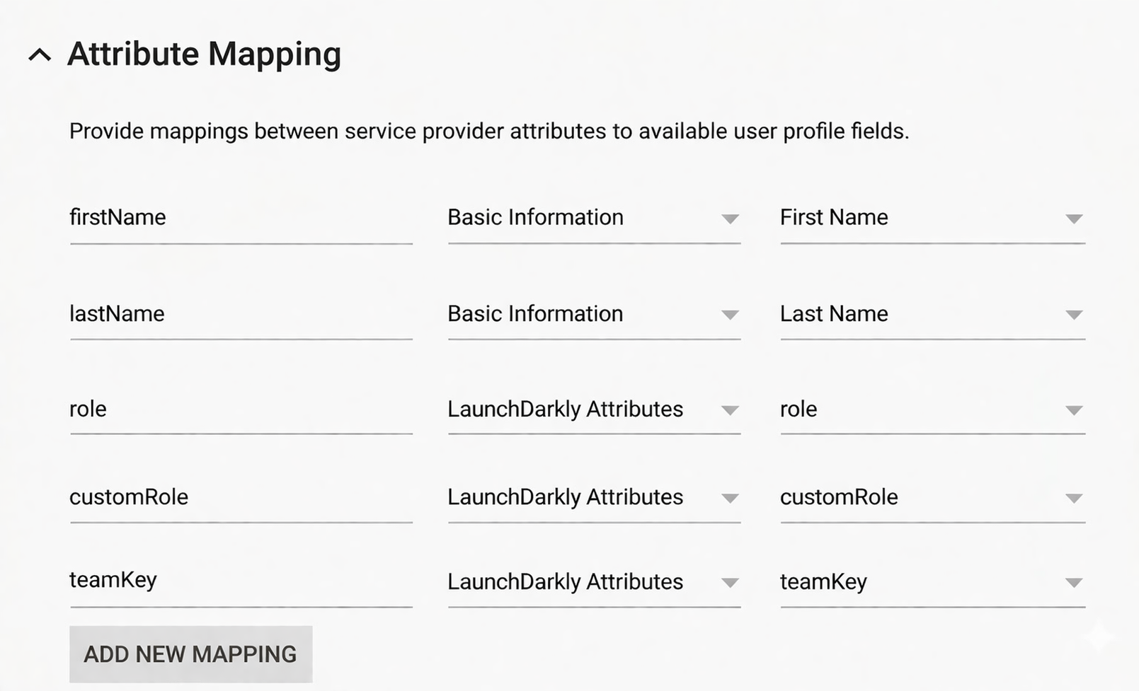The Attribute Mappings screen.