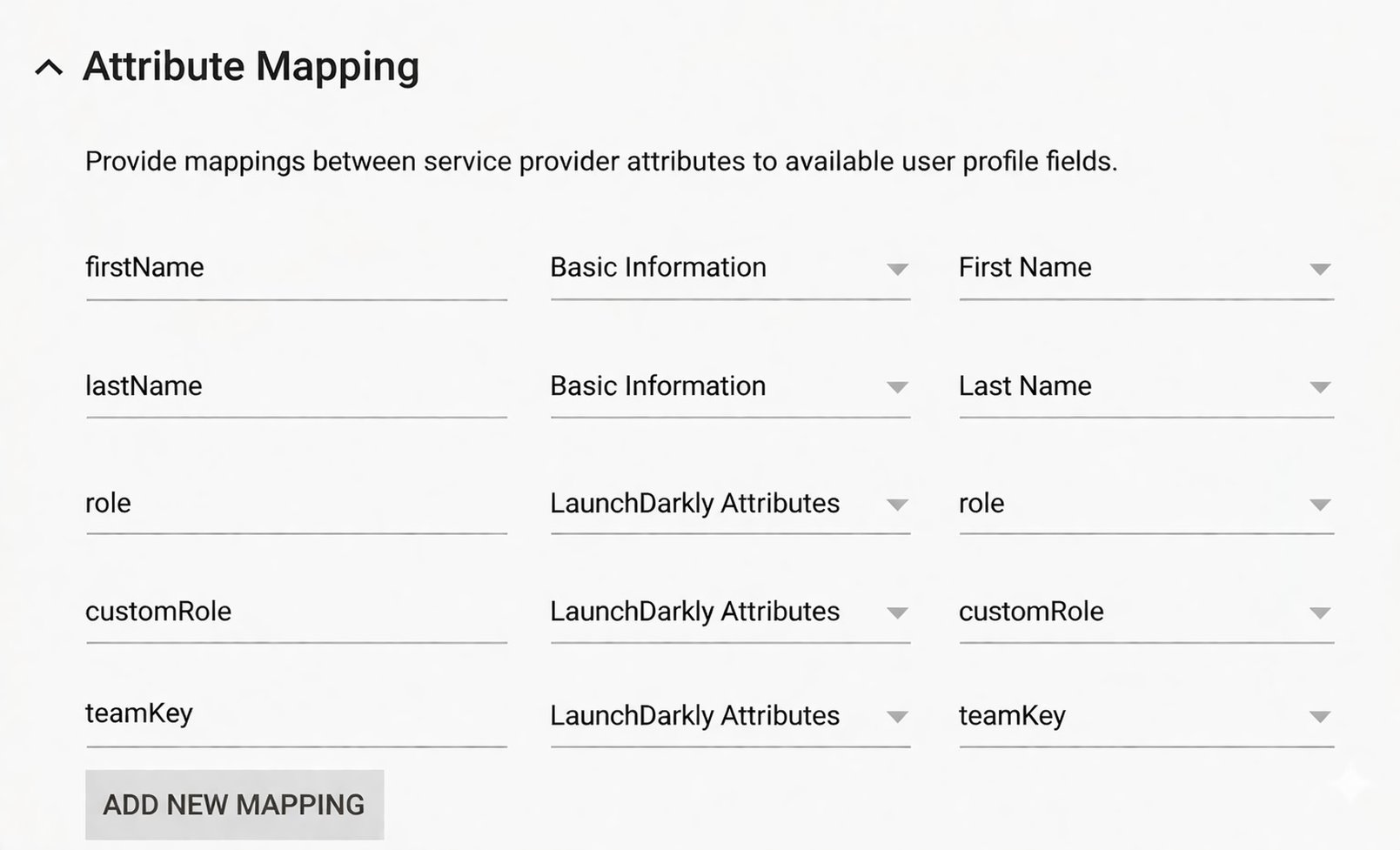 The Attribute Mappings screen.