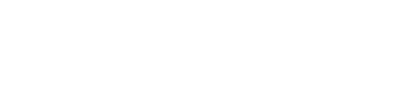 light logo