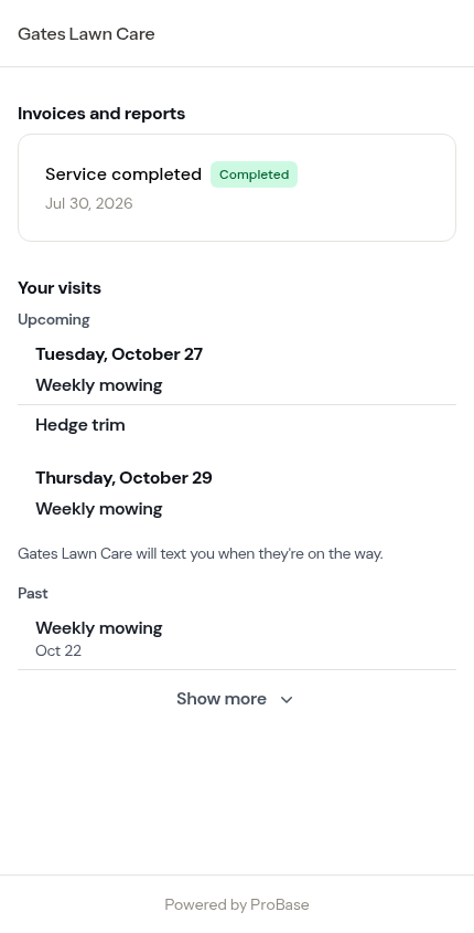 Your visits on the portal home