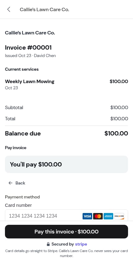 The customer's invoice page with the pinned pay bar