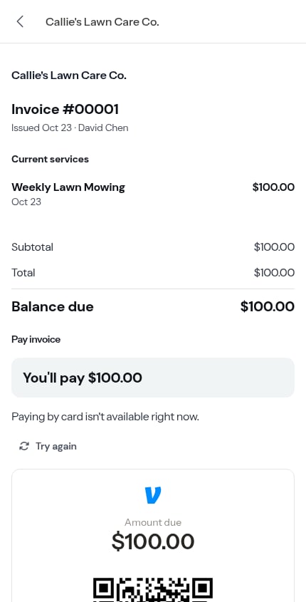 The card form couldn't load in the customer's browser — Try again above the payment app block