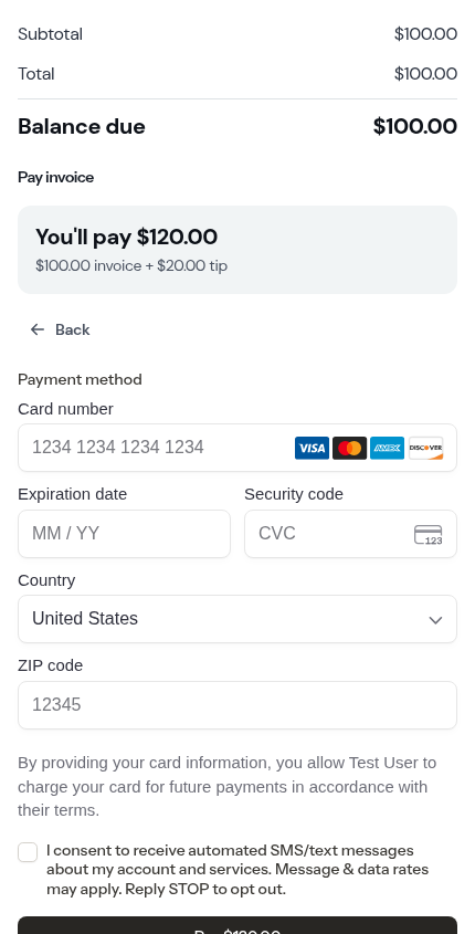 The card form with the pinned Pay this invoice bar