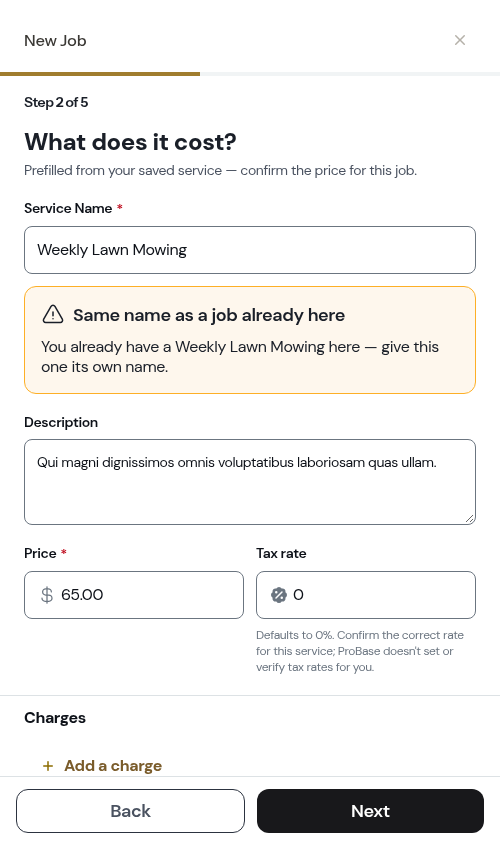 The same-name nudge on the pricing step
