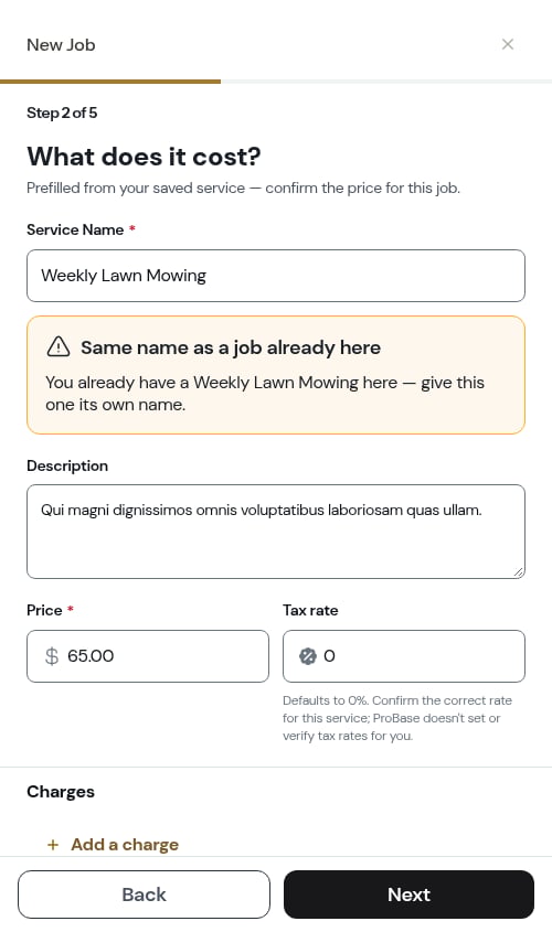 The same-name nudge on the pricing step