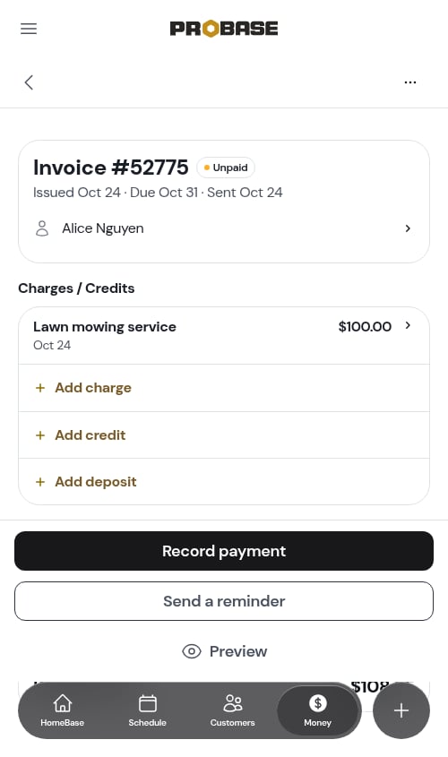 The invoice, with ⋯ More in the top-right corner
