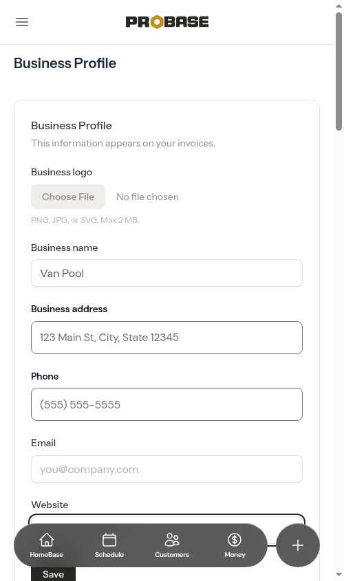 Bare domain typed into the website field