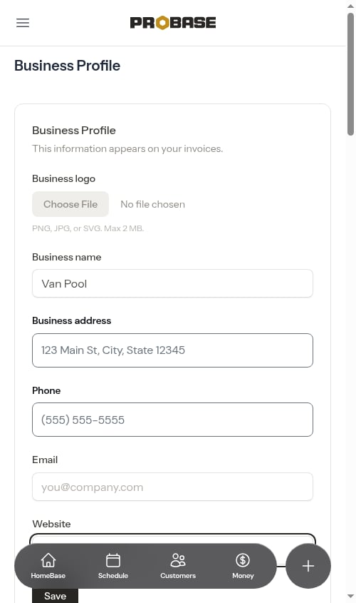 Bare domain typed into the website field