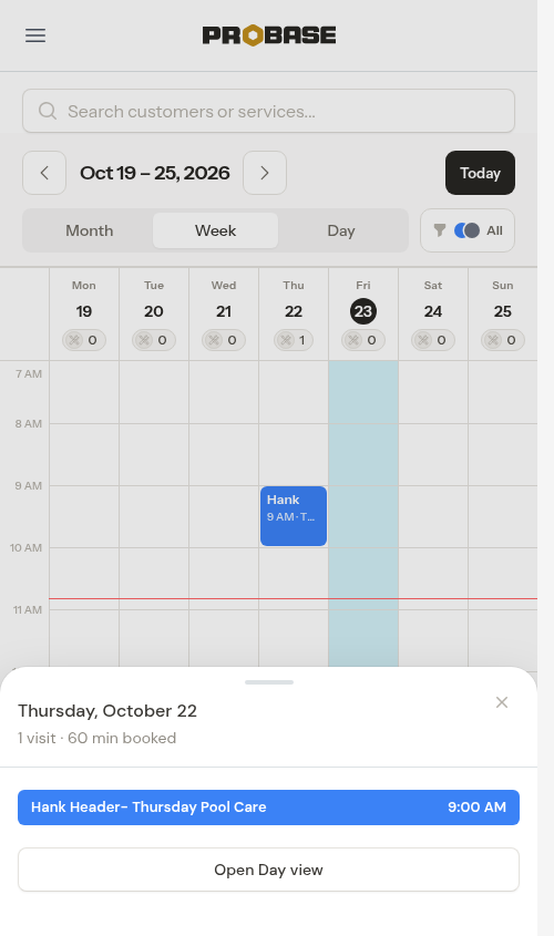 Day overview opened from a day header