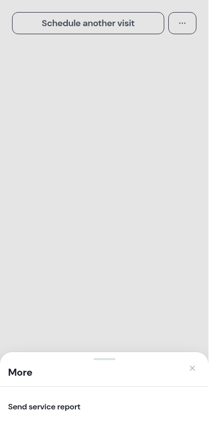 The More sheet on a rated visit whose report was never sent