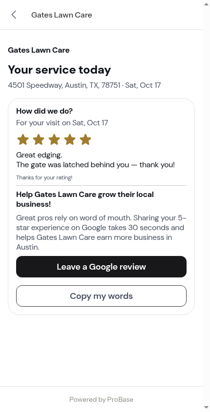Copy my words on the report