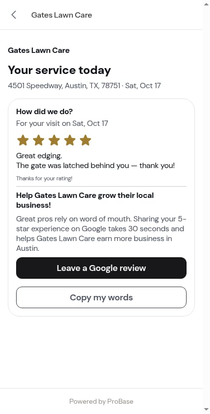 Copy my words on the report
