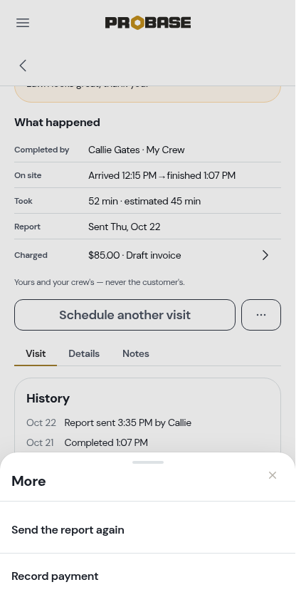 The More sheet on a rated, completed visit
