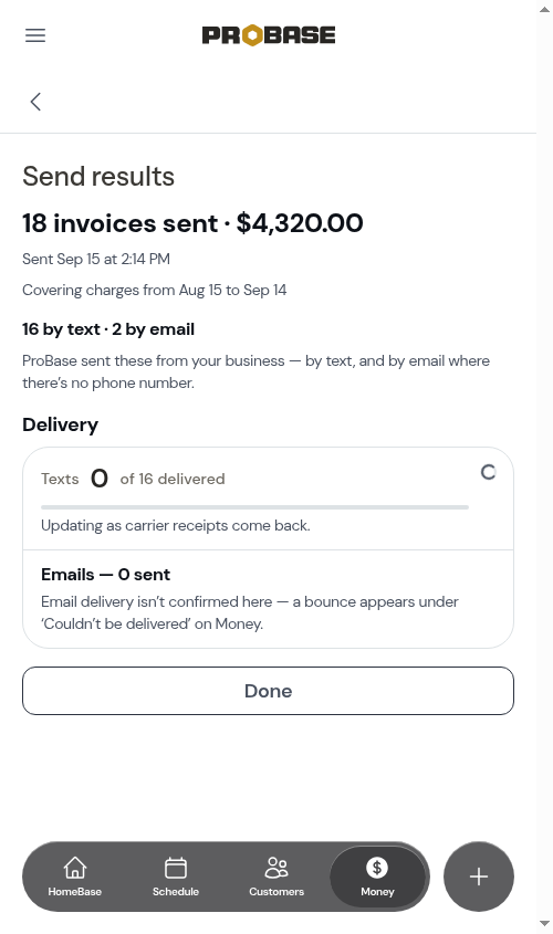 A batch's results opened from Business reports