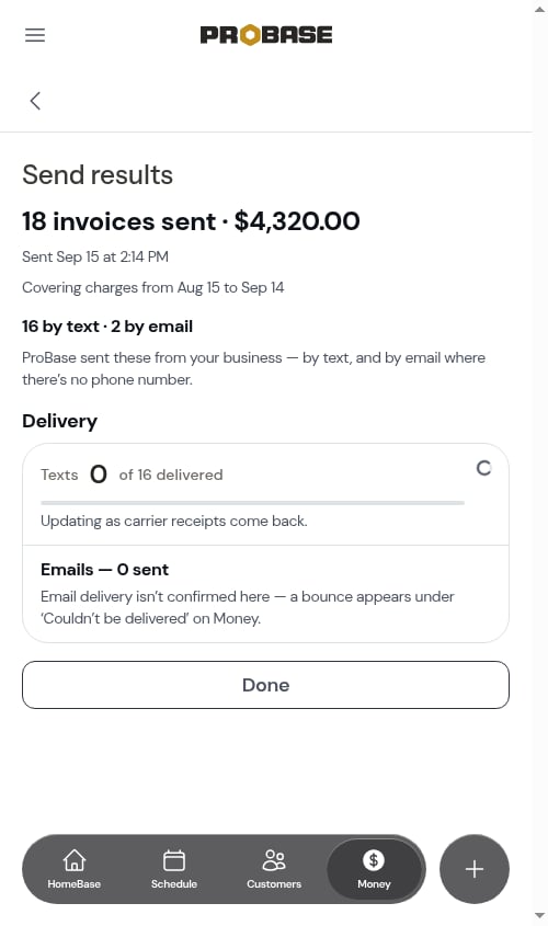 A batch's results opened from Business reports