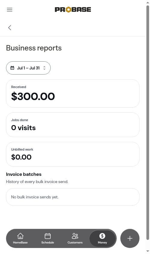 A custom range carried onto Business reports
