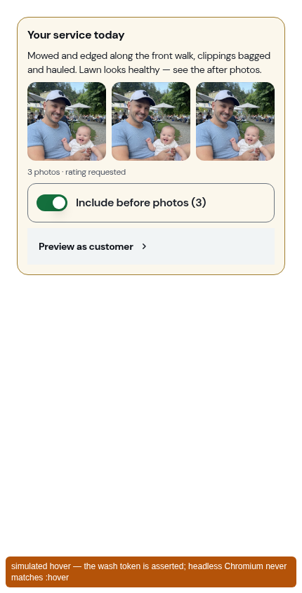 The Preview as customer row