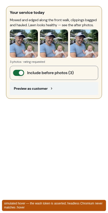 The Preview as customer row