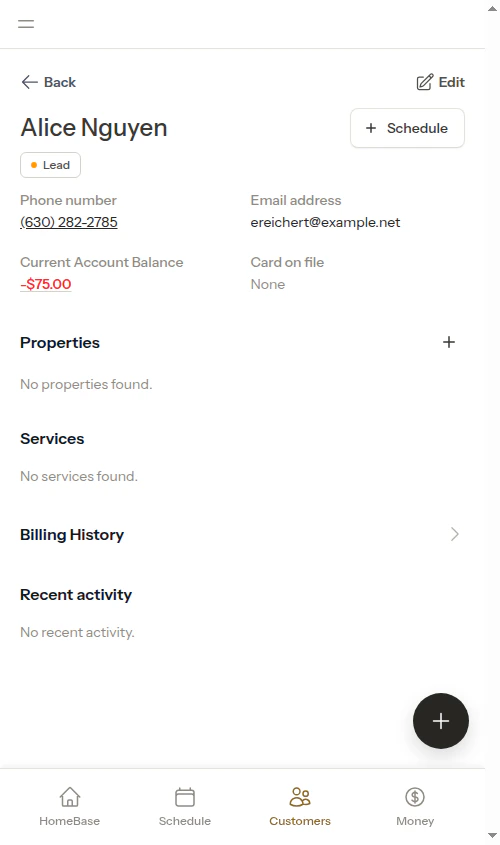 Customer detail page with balance