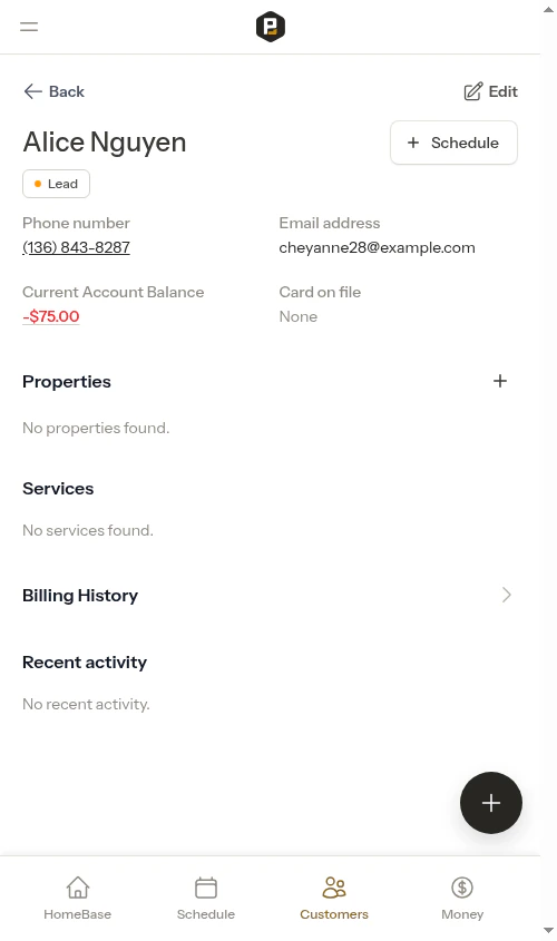 Customer detail page with balance