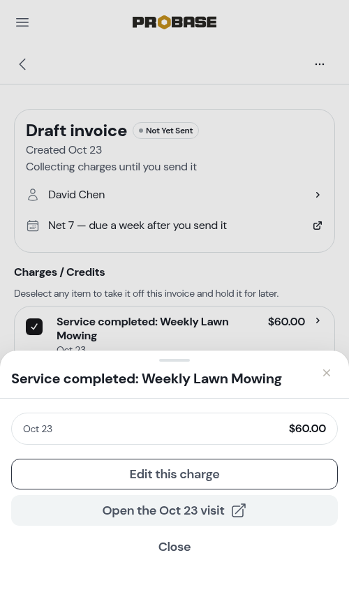 Tapping a charge opens its sheet, with a link to the visit