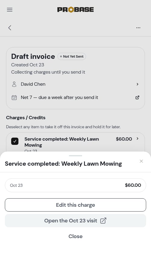Tapping a charge opens its sheet, with a link to the visit
