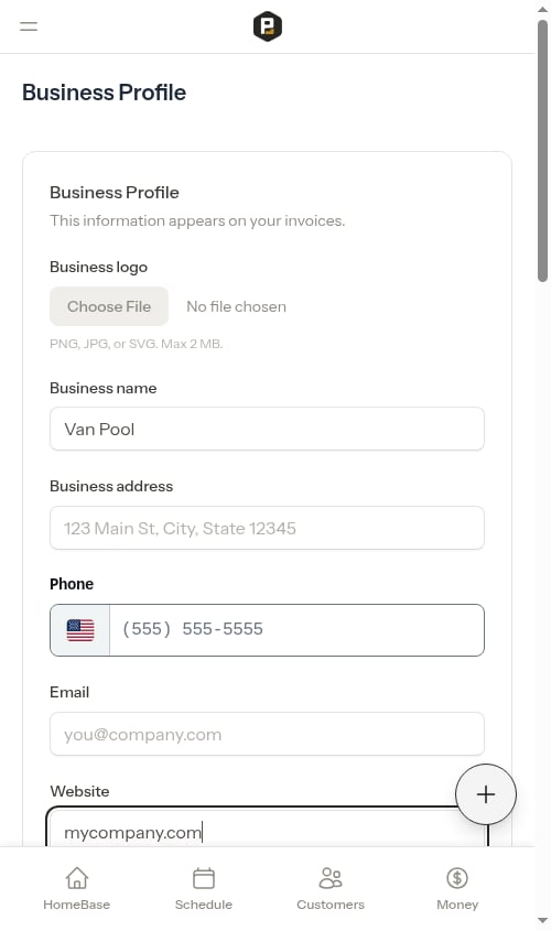 Bare domain typed into the website field