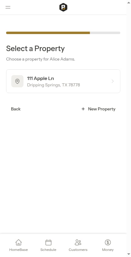 Property step after selecting customer