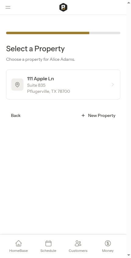 Property step after selecting customer