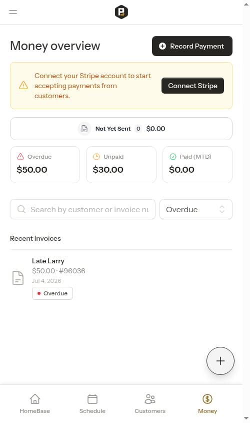 Filtered to show overdue invoices